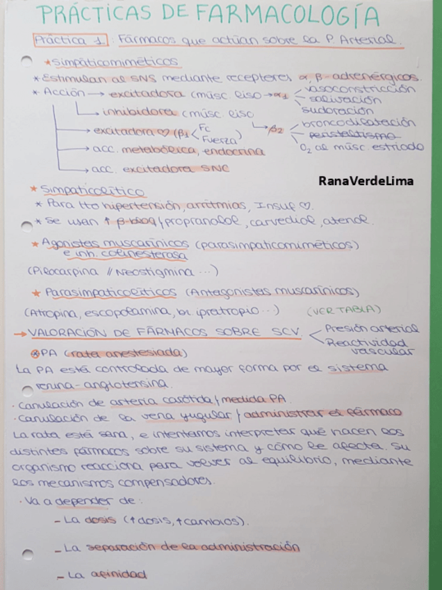 Miniatura del documento Prácticas.pdf