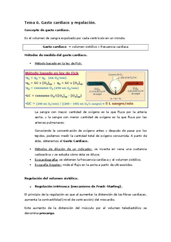 Miniatura del documento Tema 6. gasto cardíaco y regulación.pdf