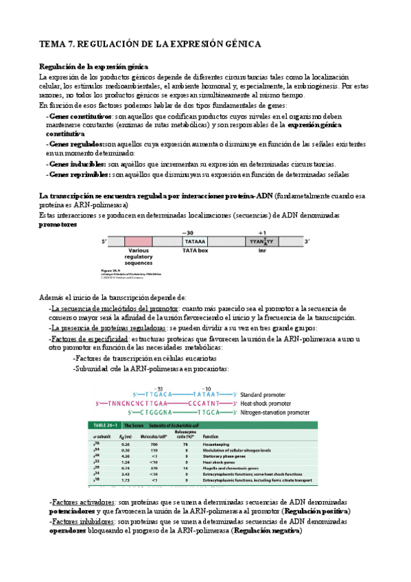 Miniatura del documento T7 Regulación de la expresión génica.pdf