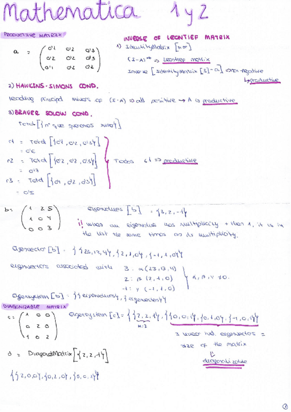 Miniatura del documento math2 mathematica1y2 1.pdf