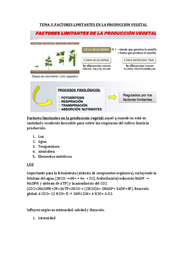 Miniatura del documento todo pmp vegetal.pdf