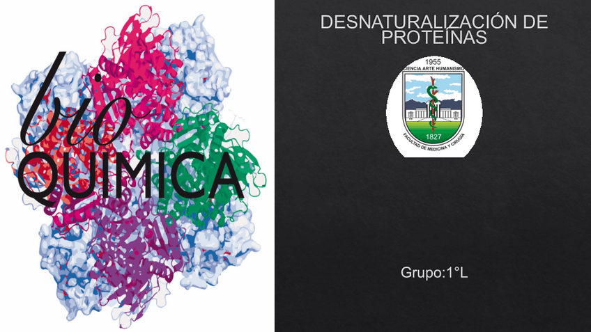 Miniatura del documento desnaturalizacion de proteinas-oficial.pdf