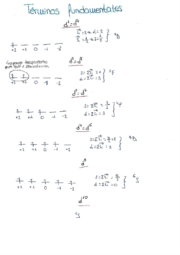 Miniatura del documento Términos fundamentales.pdf