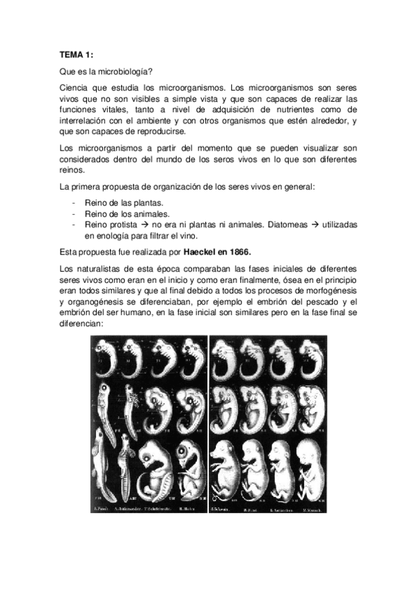 Miniatura del documento apuntes.docx