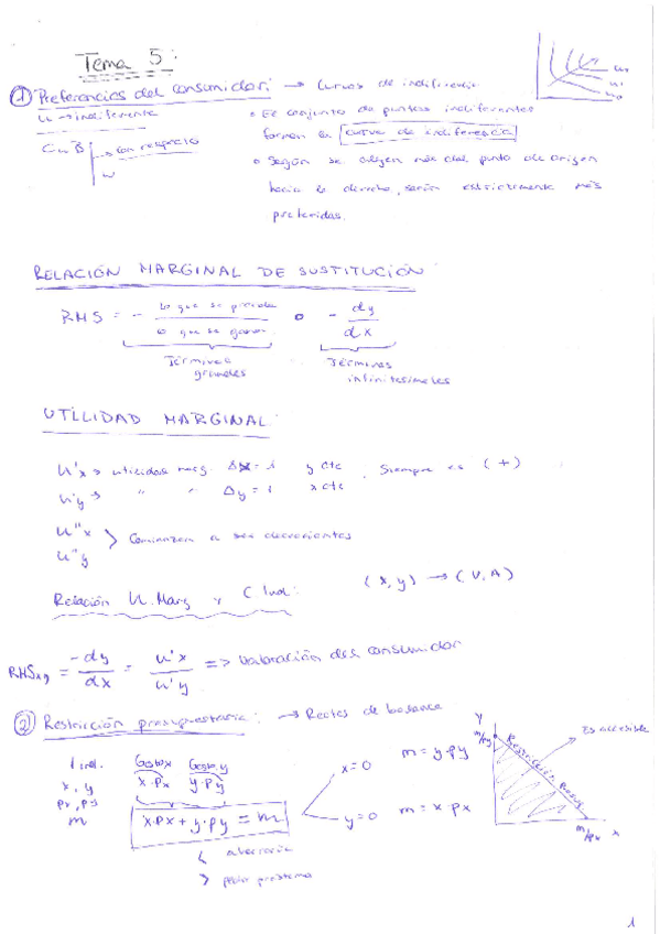 Miniatura del documento Utilidad marginal.pdf