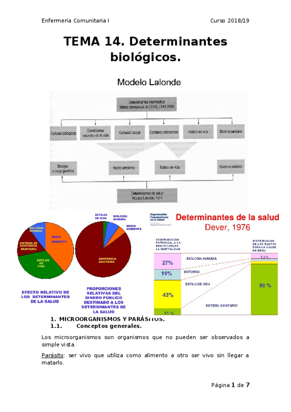Miniatura del documento Tema 14. Determinantes biológicos..docx