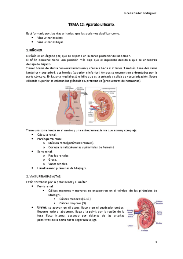 Miniatura del documento TEMA 12.pdf