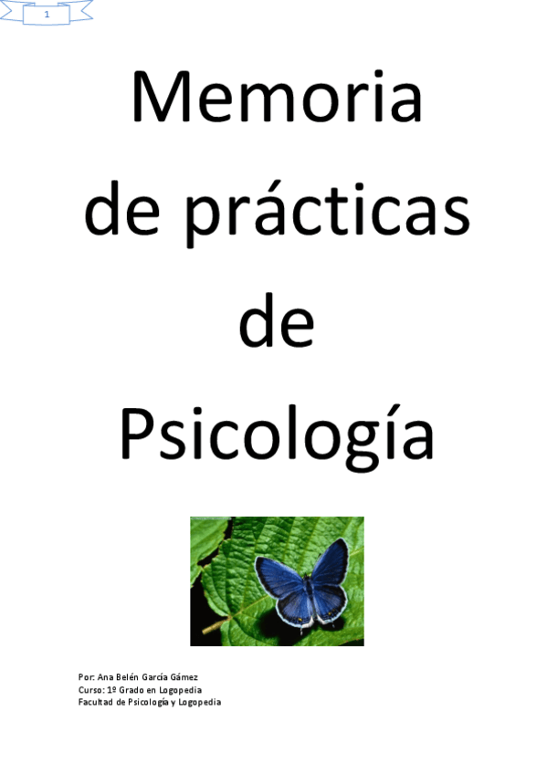 Miniatura del documento Memoria de prácticas psicología del desarrollo.pdf
