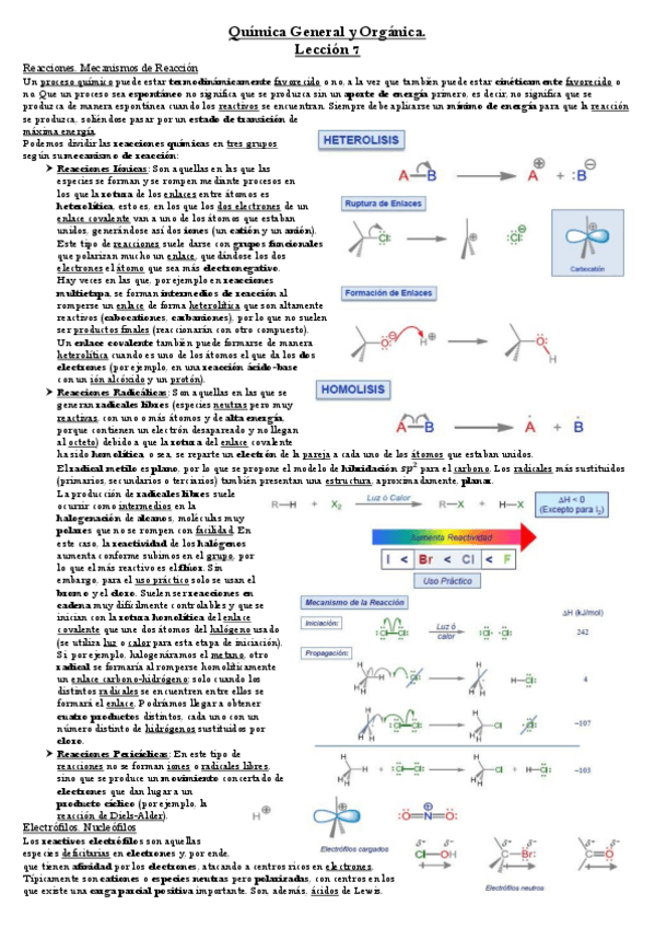 Miniatura del documento Lección 7.pdf