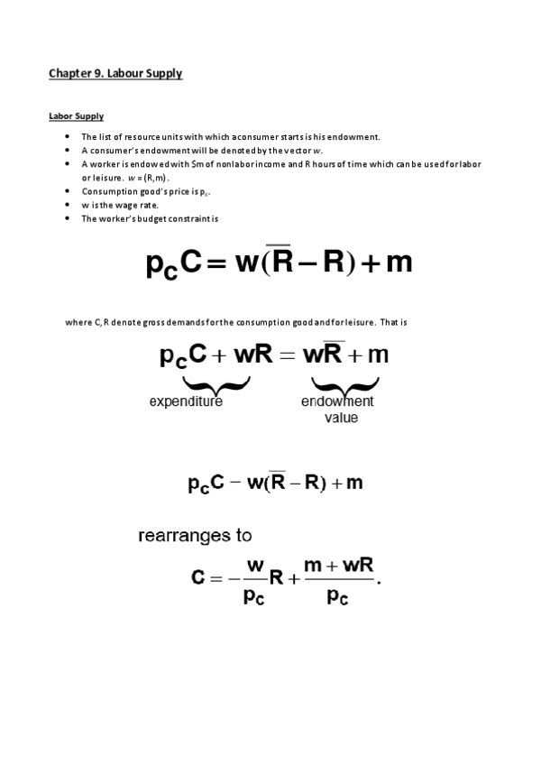 Miniatura del documento 9. Labour Supply.pdf