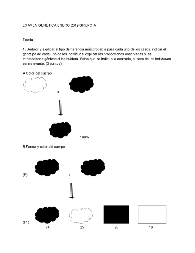 Miniatura del documento EXAMEN GENÉTICA ENERO.pdf