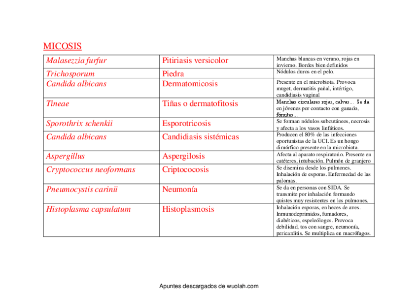 Miniatura del documento Tablas microorganismos segundo parcial.pdf