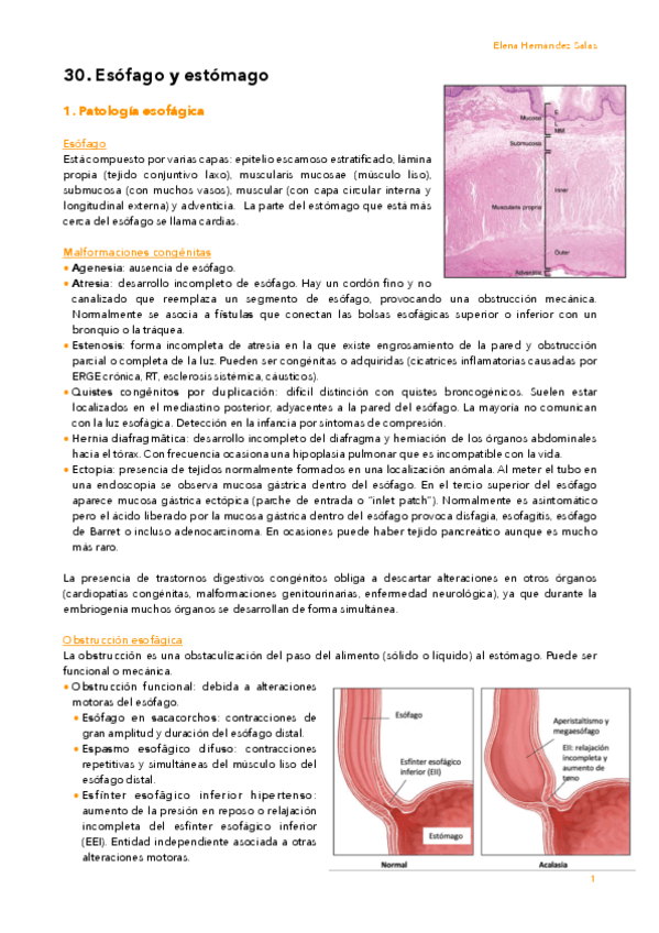Miniatura del documento 30. Esófago y estómago.pdf