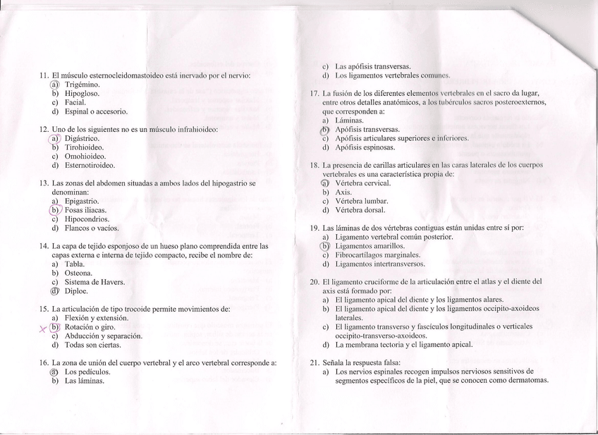 Miniatura del documento examen_2_anatomia.jpg