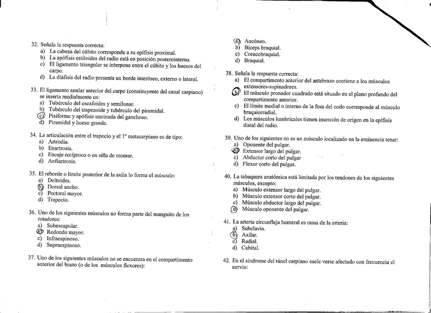 Miniatura del documento pag_4_anatomia.jpg