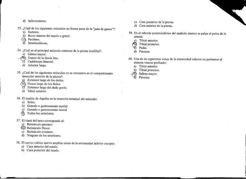 Miniatura del documento pag_6_anatomia.jpg