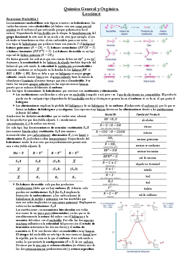 Miniatura del documento Lección 8.pdf