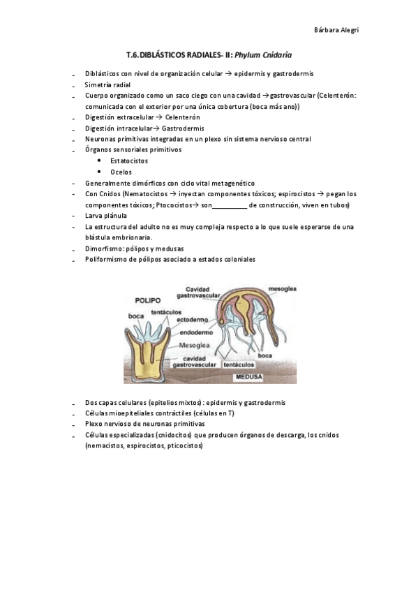 Miniatura del documento T6.pdf