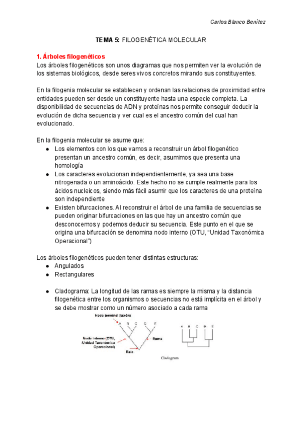Miniatura del documento GENÓMICA Y BIOINFORMÁTICA - Tema 5 - FILOGENIA.pdf