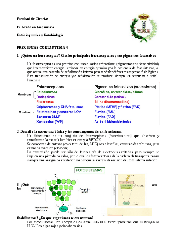 Miniatura del documento Respuestas Preguntas T4.pdf