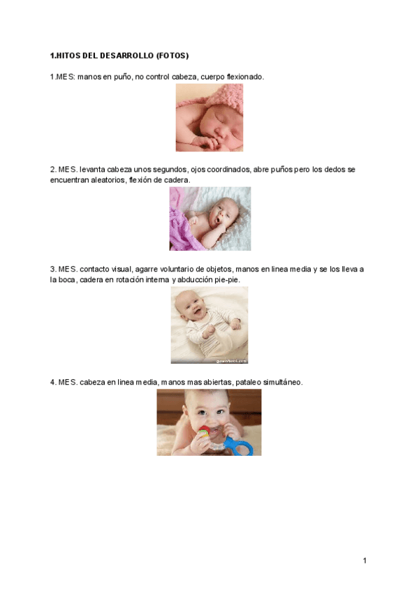 Miniatura del documento resumen apiia.pdf