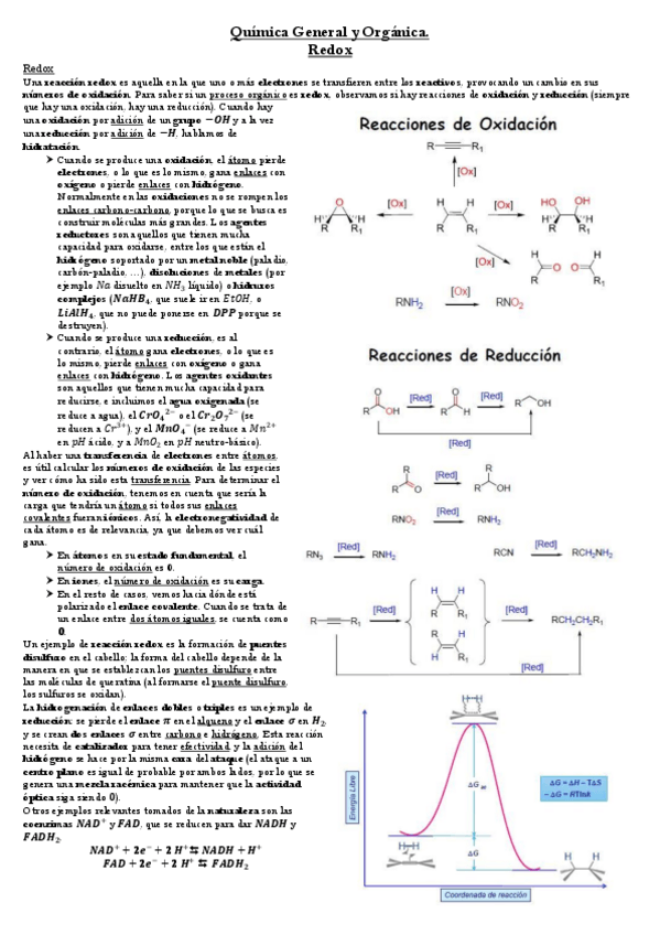 Miniatura del documento Lección Redox.pdf