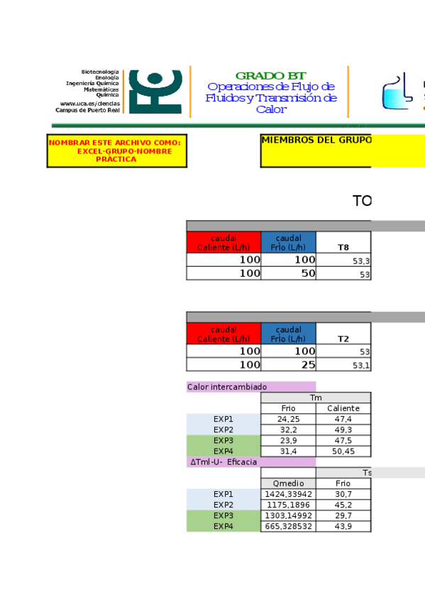 Miniatura del documento TRATAMIENTO-OFFTC-INÉS MUELA.xlsx