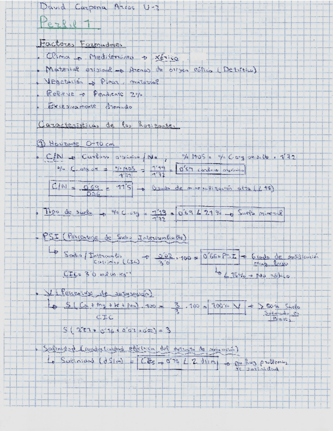 Miniatura del documento Perfil 1.pdf