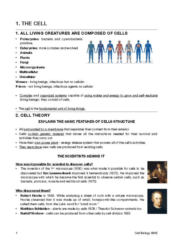 Miniatura del documento Cell biology.pdf