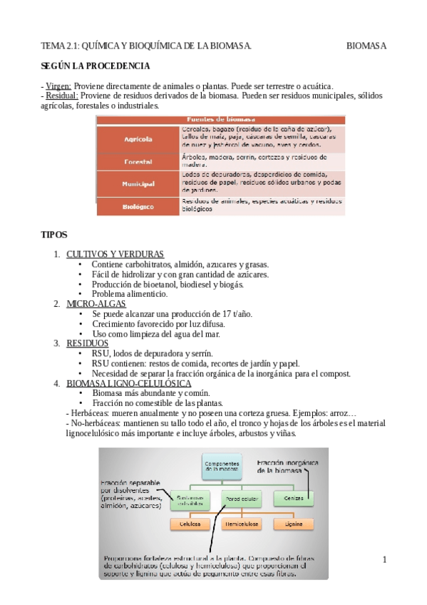 Miniatura del documento Tema 2.1 Química y bioquímica de la biomasa.pdf