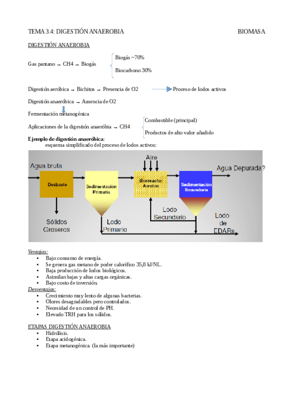 Miniatura del documento Tema 3.4 Digestión anaerobia.pdf
