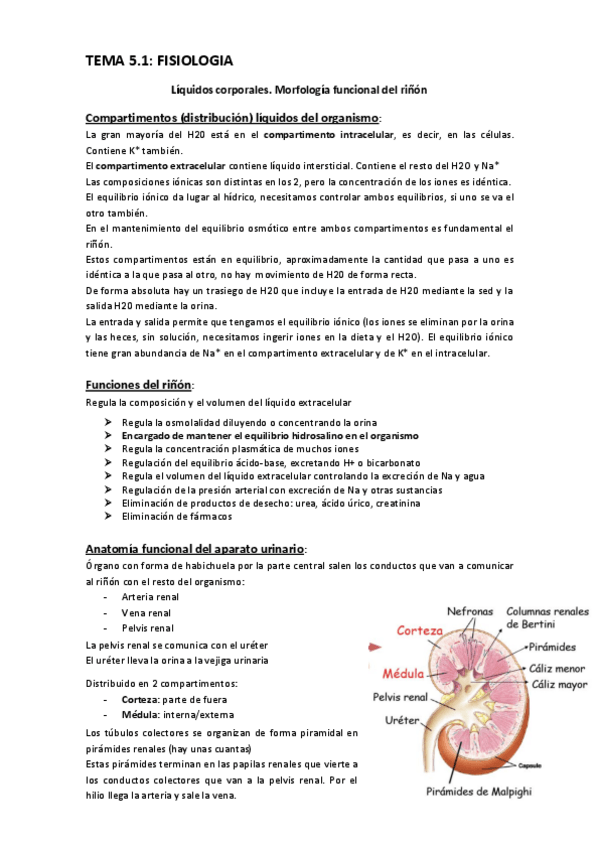 Miniatura del documento BLOQUE 5 FISIOLOGIA.pdf