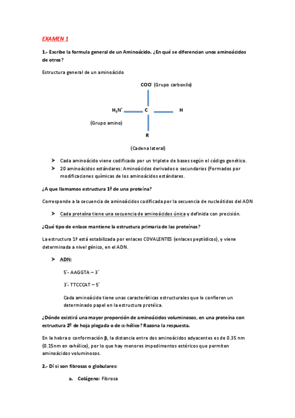 Miniatura del documento Exm bioquimica SUPER IMPORTANTE.pdf