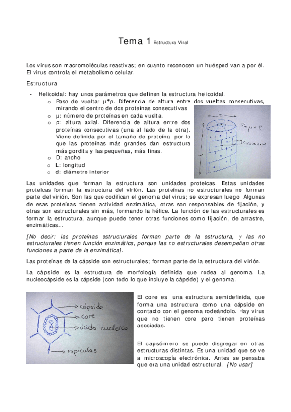 Miniatura del documento Virología.pdf