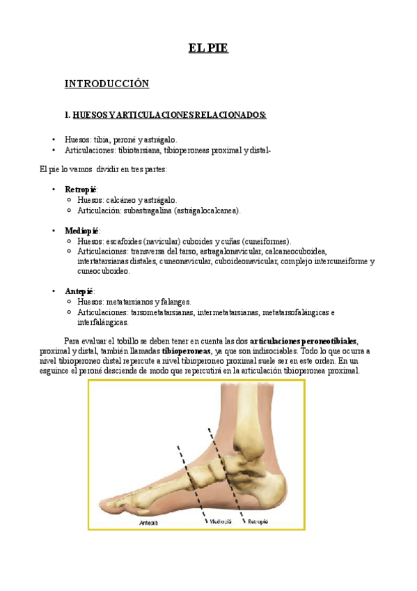 Miniatura del documento 8. Miembro Inferior PIE.pdf