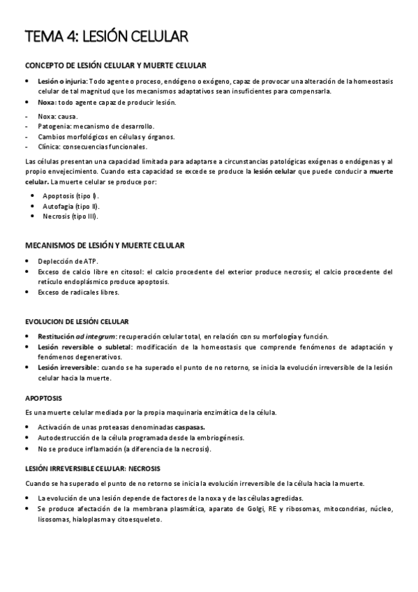 Miniatura del documento TEMA 4.pdf