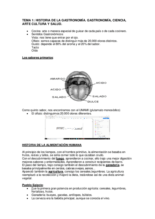 Miniatura del documento TEMAS.pdf