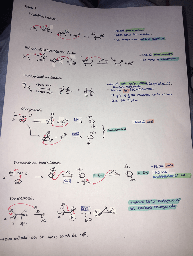 Miniatura del documento 0620A4E7-EFB1-4B83-8416-F2E5B25F5D5C.jpeg