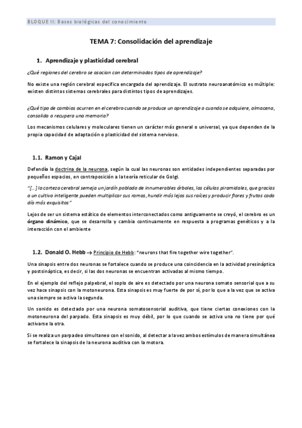 Miniatura del documento TEMA 7BII.pdf