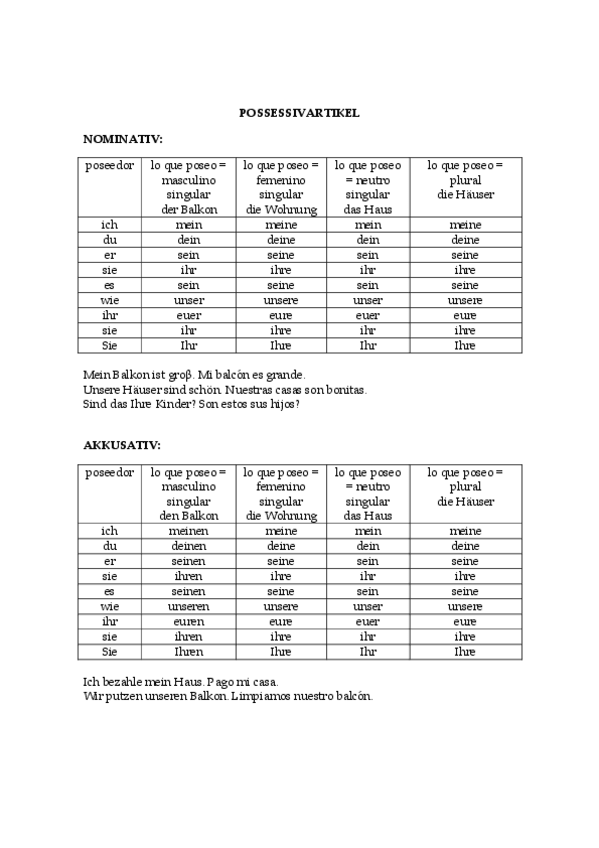 Miniatura del documento POSSESSIVARTIKEL.pdf