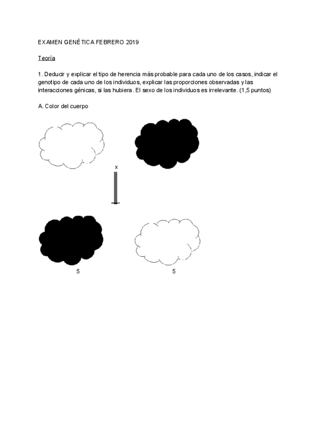 Miniatura del documento EXAMEN GENÉTICA FEBRERO 2019.pdf