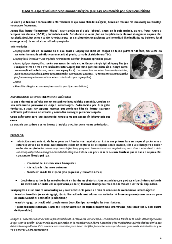 Miniatura del documento Tema 9. ABPA .pdf
