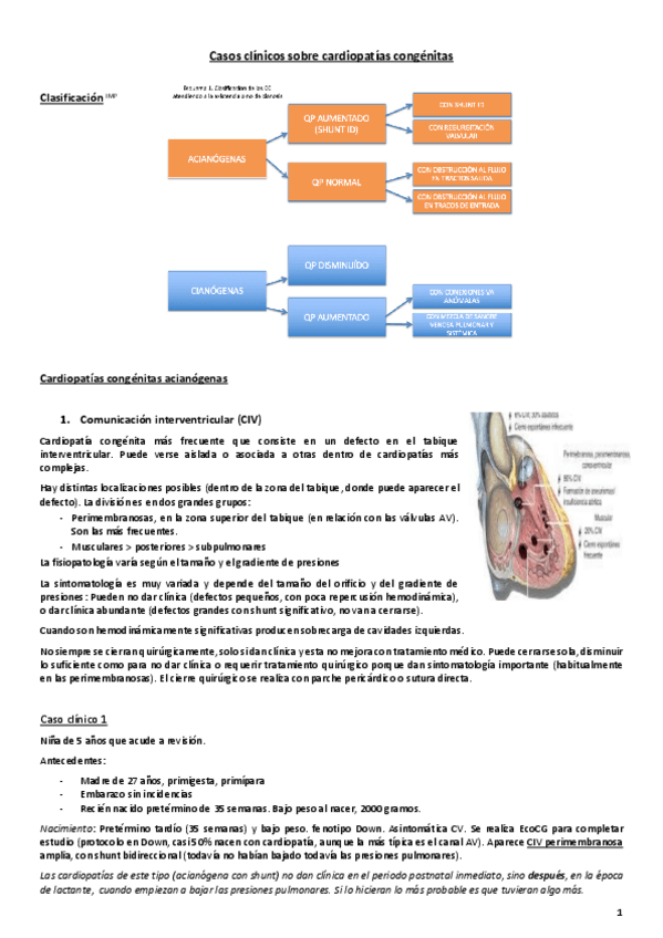 Miniatura del documento Caso clínico. Cardiopatías congénitas.pdf