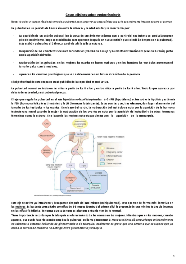 Miniatura del documento Casos clínicos endocrinología.pdf