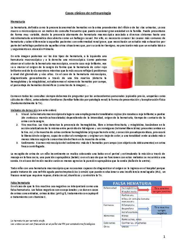 Miniatura del documento Casos clínicos nefrourología pediátrica.pdf