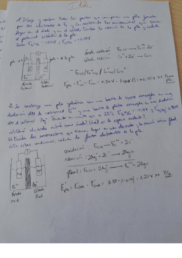 Miniatura del documento TEMA 12.pdf