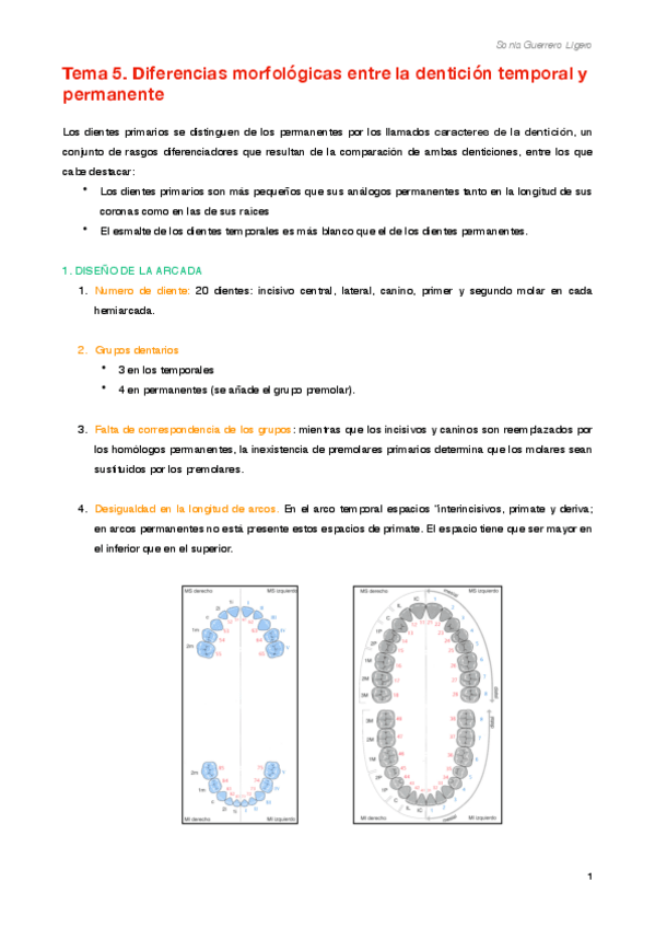 Miniatura del documento Tema 5.pdf
