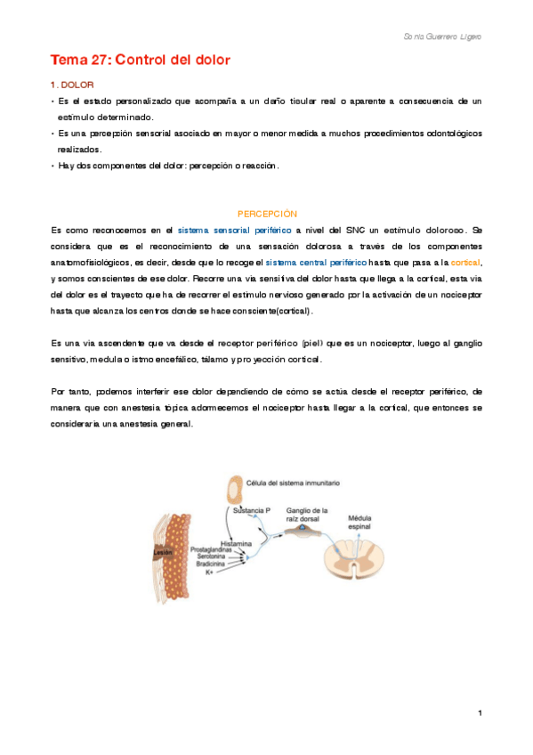 Miniatura del documento Tema 27.pdf