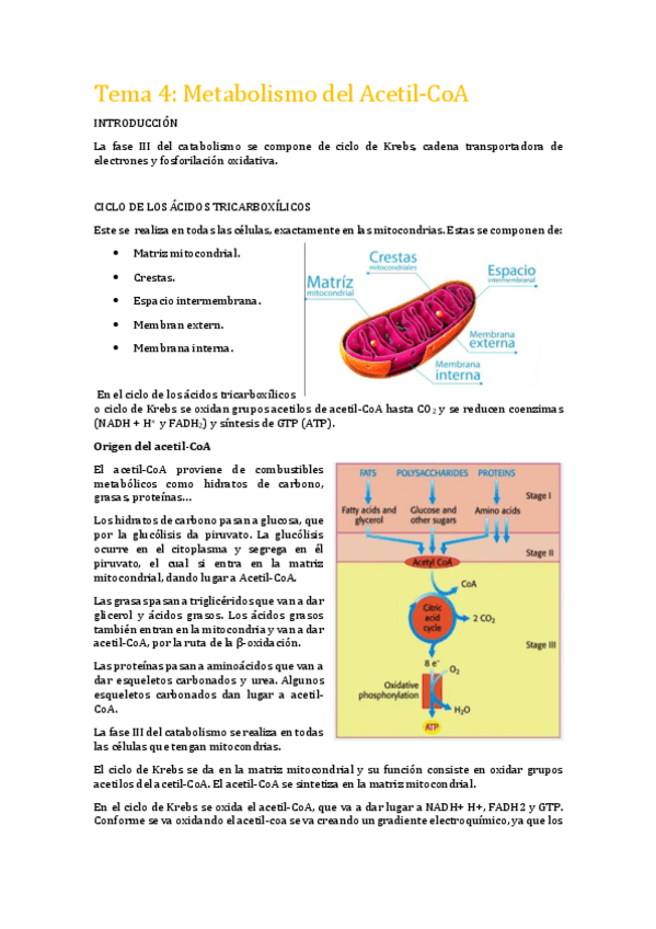 Miniatura del documento Tema 4 bq.pdf