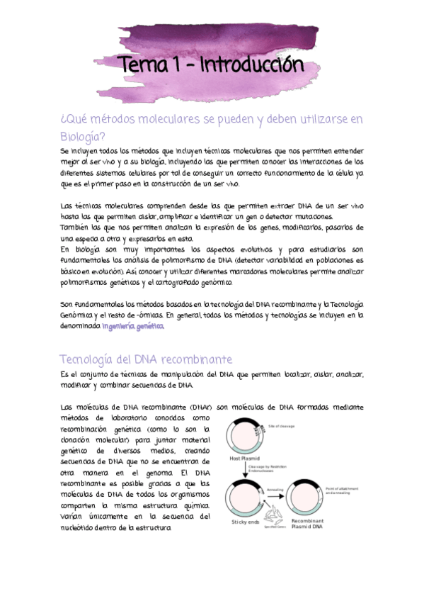 Miniatura del documento Tema 1 - Introducción.pdf